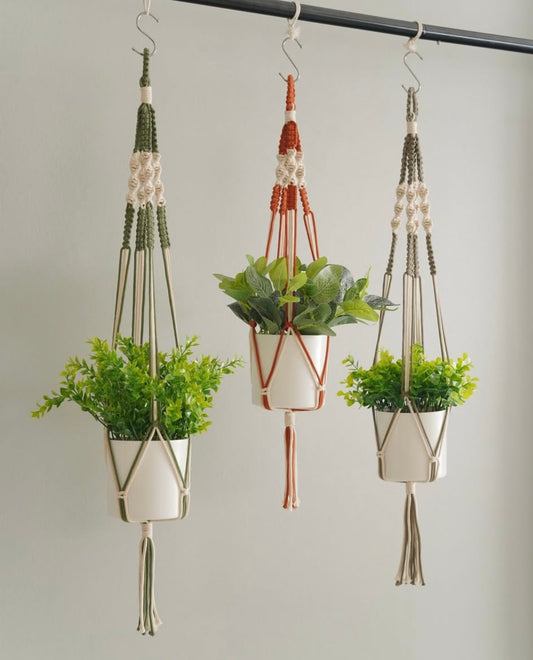 Dual colour plant hanger