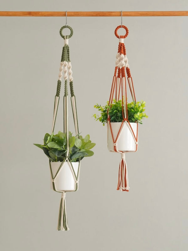 Plant Hangers